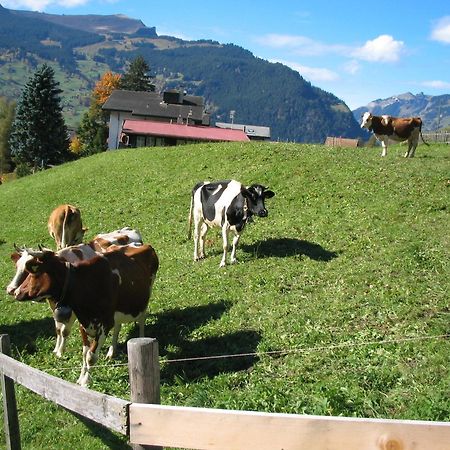 Alpenhof Hotel Grindelwald Bagian luar foto