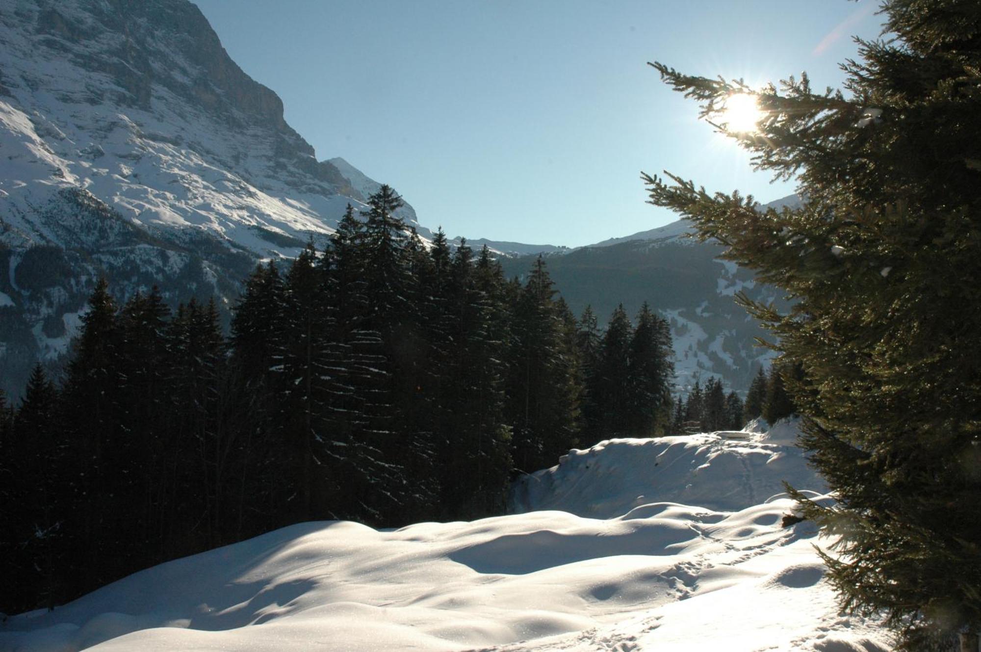 Alpenhof Hotel Grindelwald Bagian luar foto