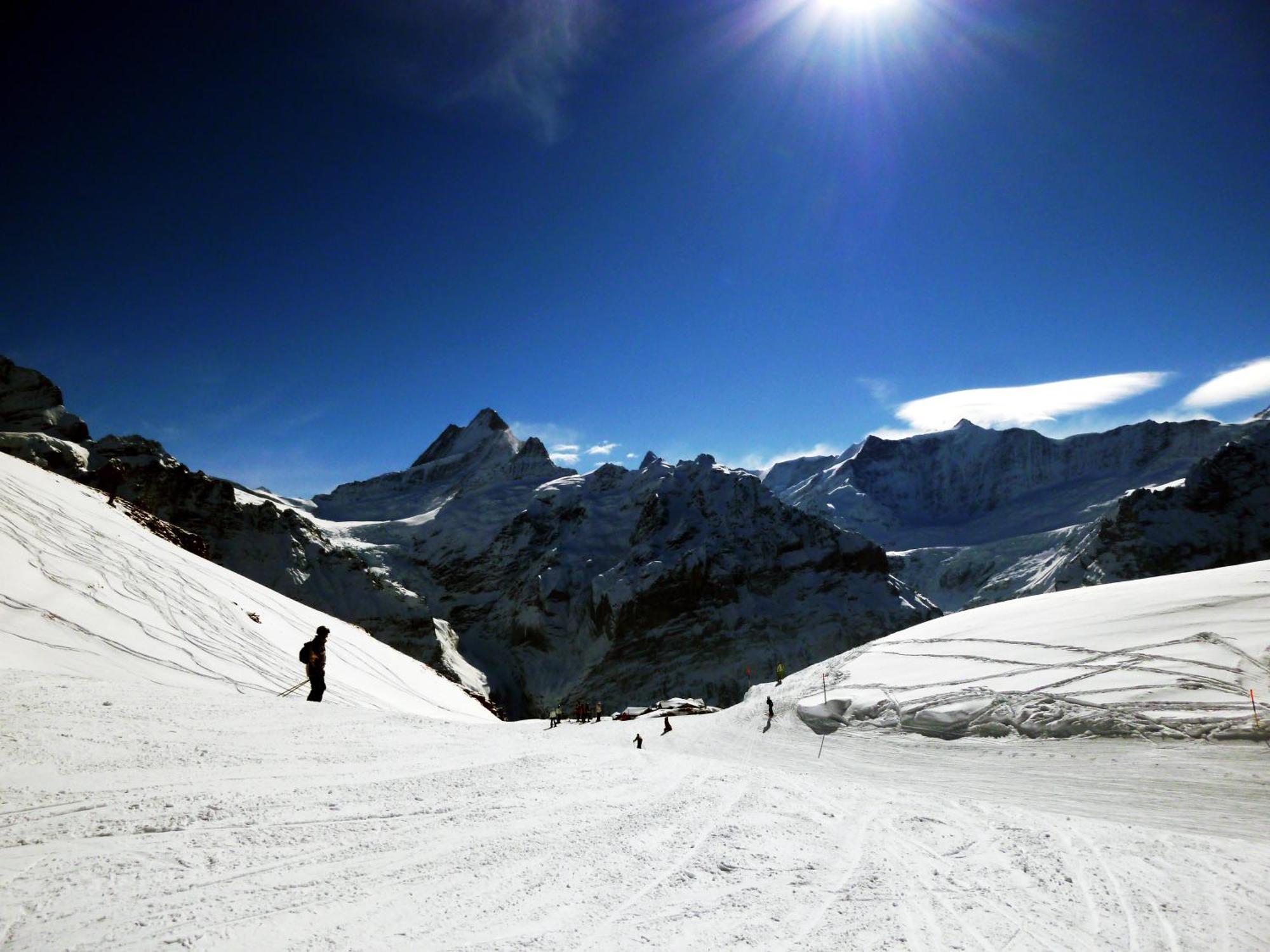 Alpenhof Hotel Grindelwald Bagian luar foto