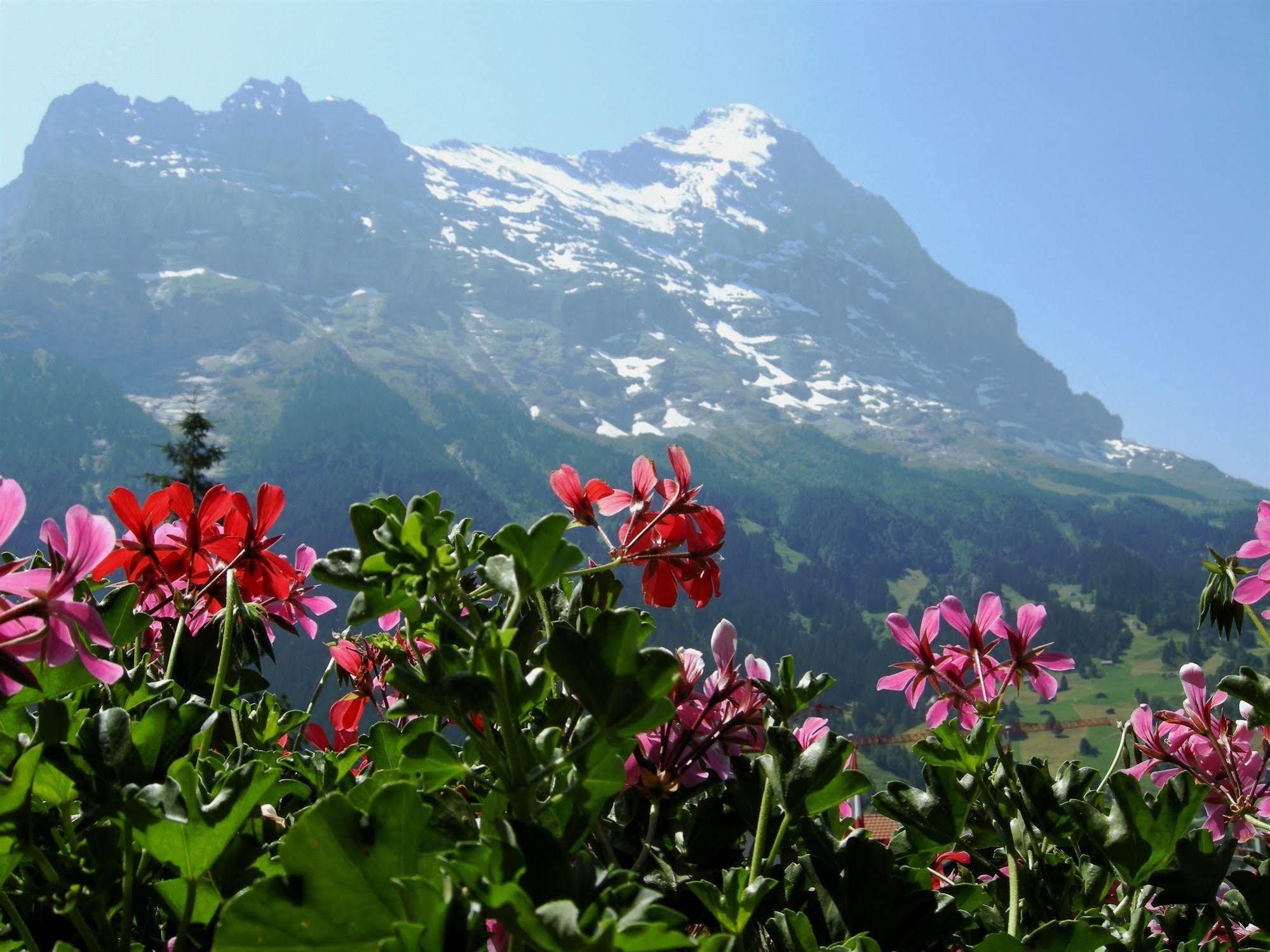 Alpenhof Hotel Grindelwald Bagian luar foto